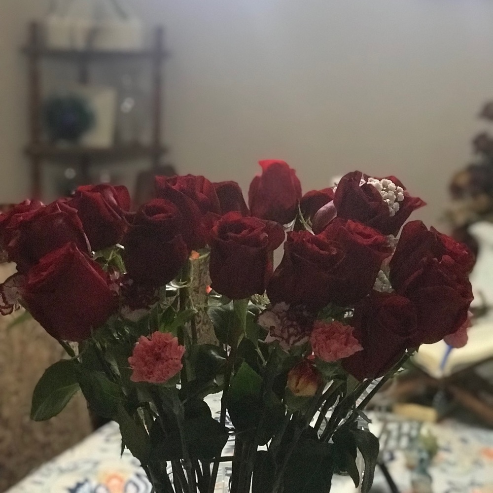 Meet your Posher, Nolvia